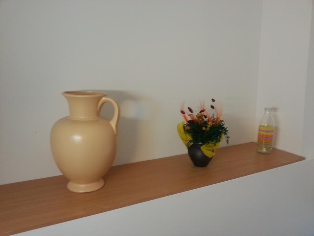 קלוז'-נאפוקה Center Park Apartment מראה חיצוני תמונה