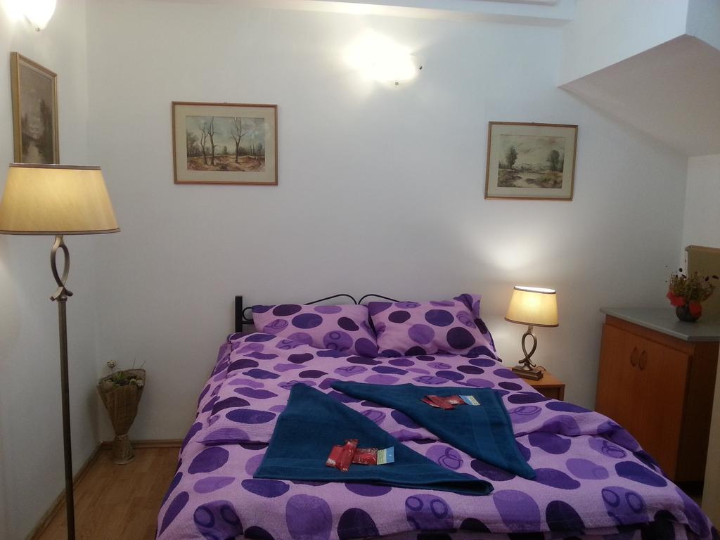 קלוז'-נאפוקה Center Park Apartment חדר תמונה